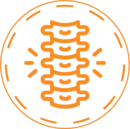 Ортопедическое Сиденье тренажер Толстунова "Спина Ок" купить