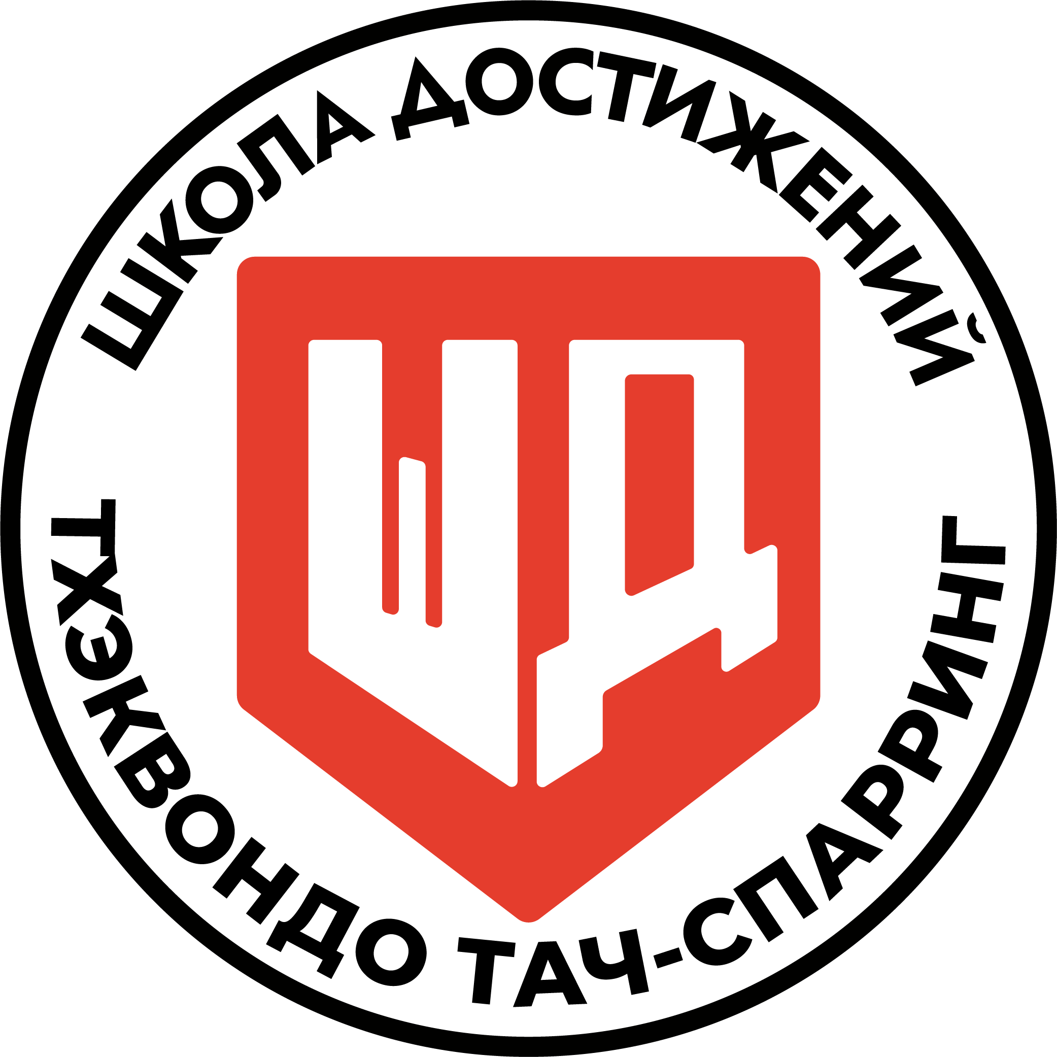  ШКОЛА ДОСТИЖЕНИЙ 