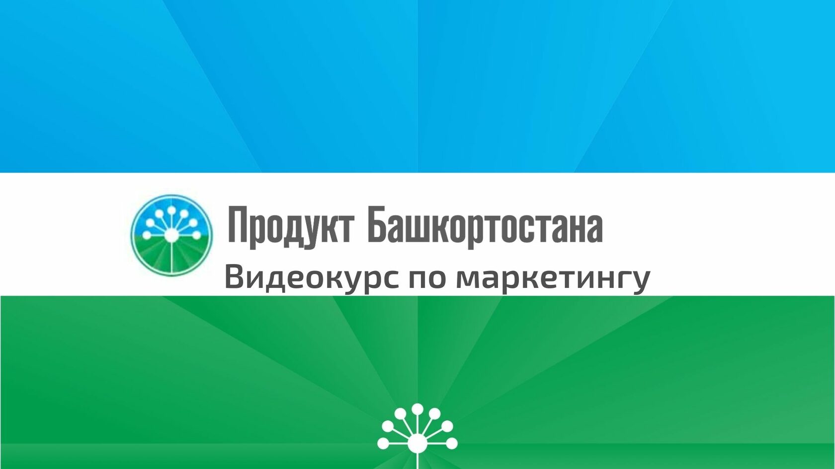 Проект продукт башкортостана