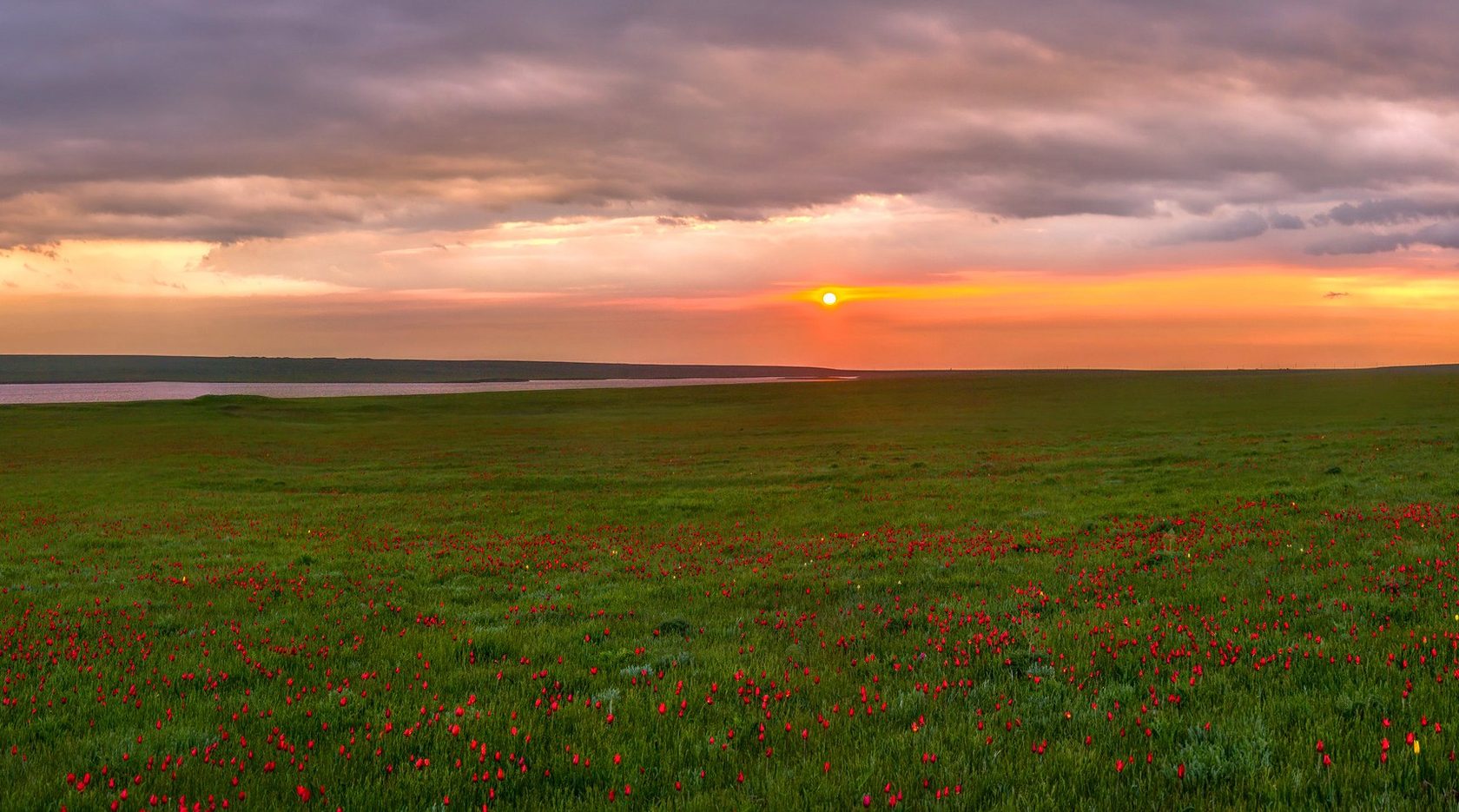 рассвет в степи. восход калмыкия. восход калмыкия. восход в степи. восход в калмыцкой степи.