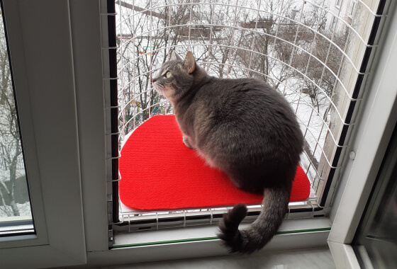 Балкон кошек «Васька» зимой