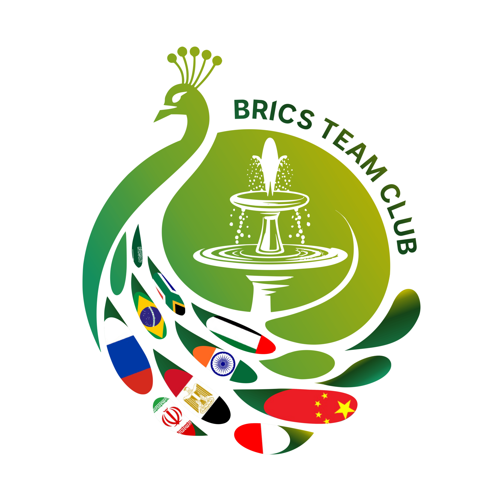 BRICS TEAM CLUB