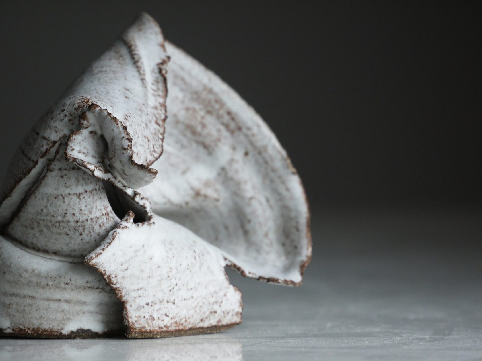 Organic ceramic sculpture