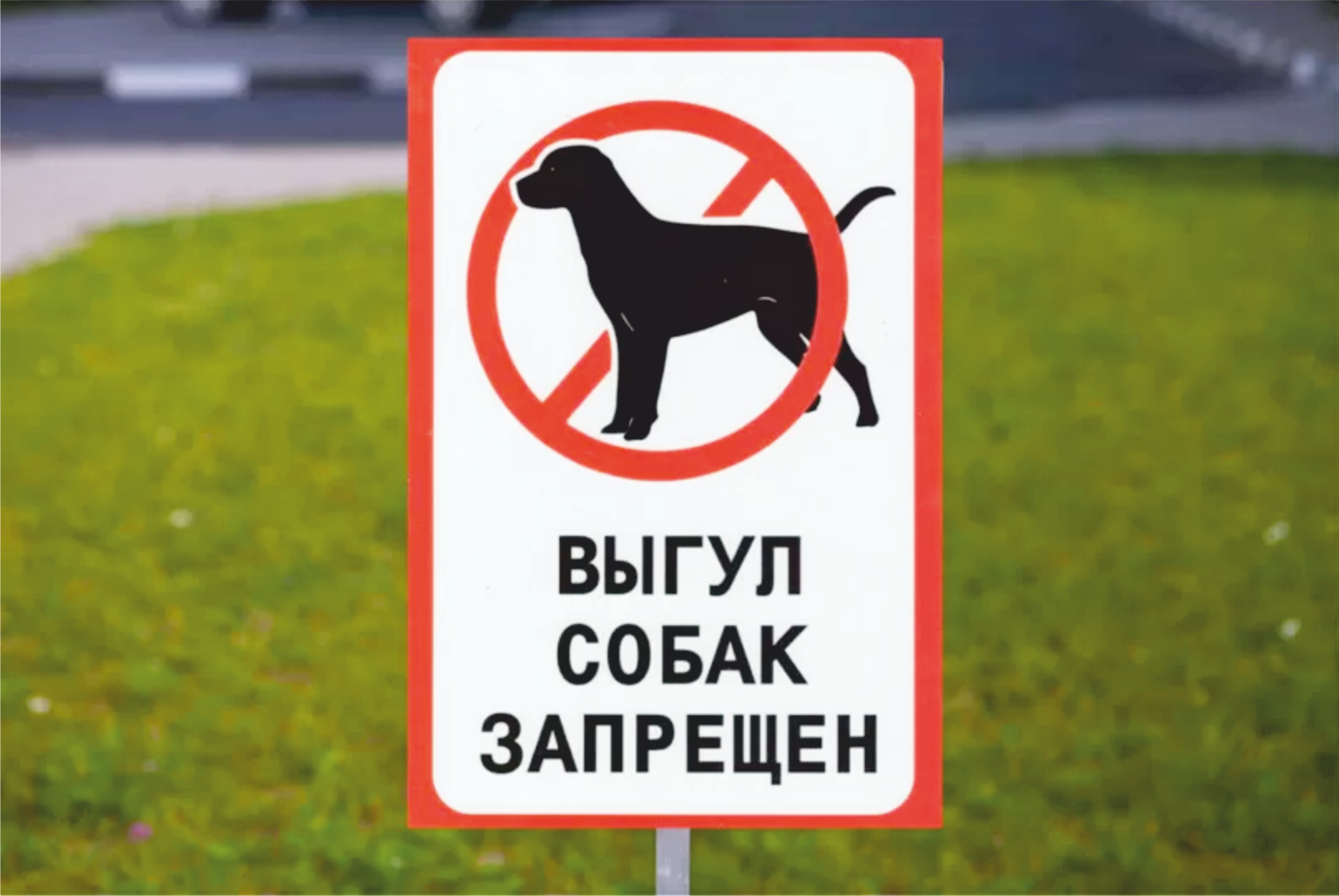 Таблички выгул собак запрещен