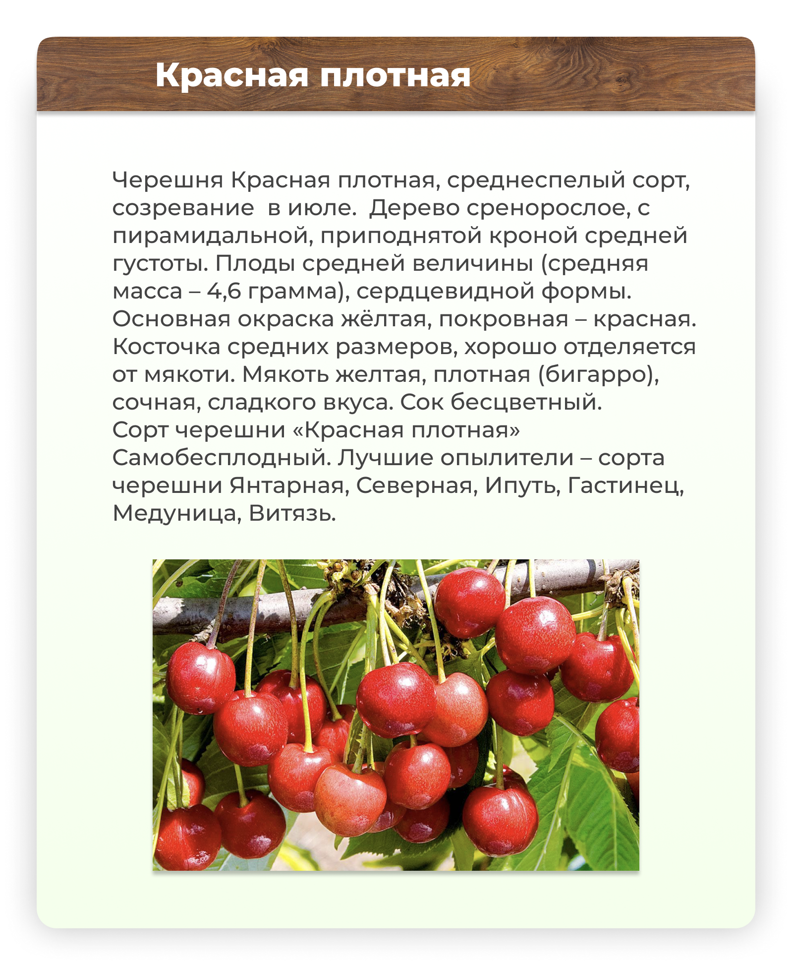 Сообщение о ягодных культурах. Плодово-ягодные культуры. Плодово ягодные культуры с описанием. Доклад плодово-ягодные культуры.