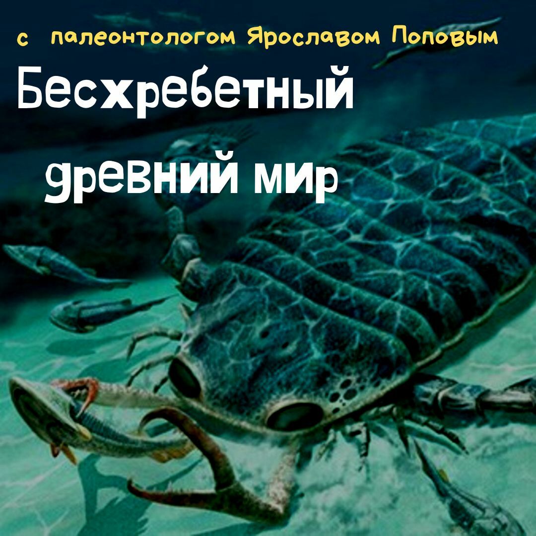 Как не быть бесхребетным