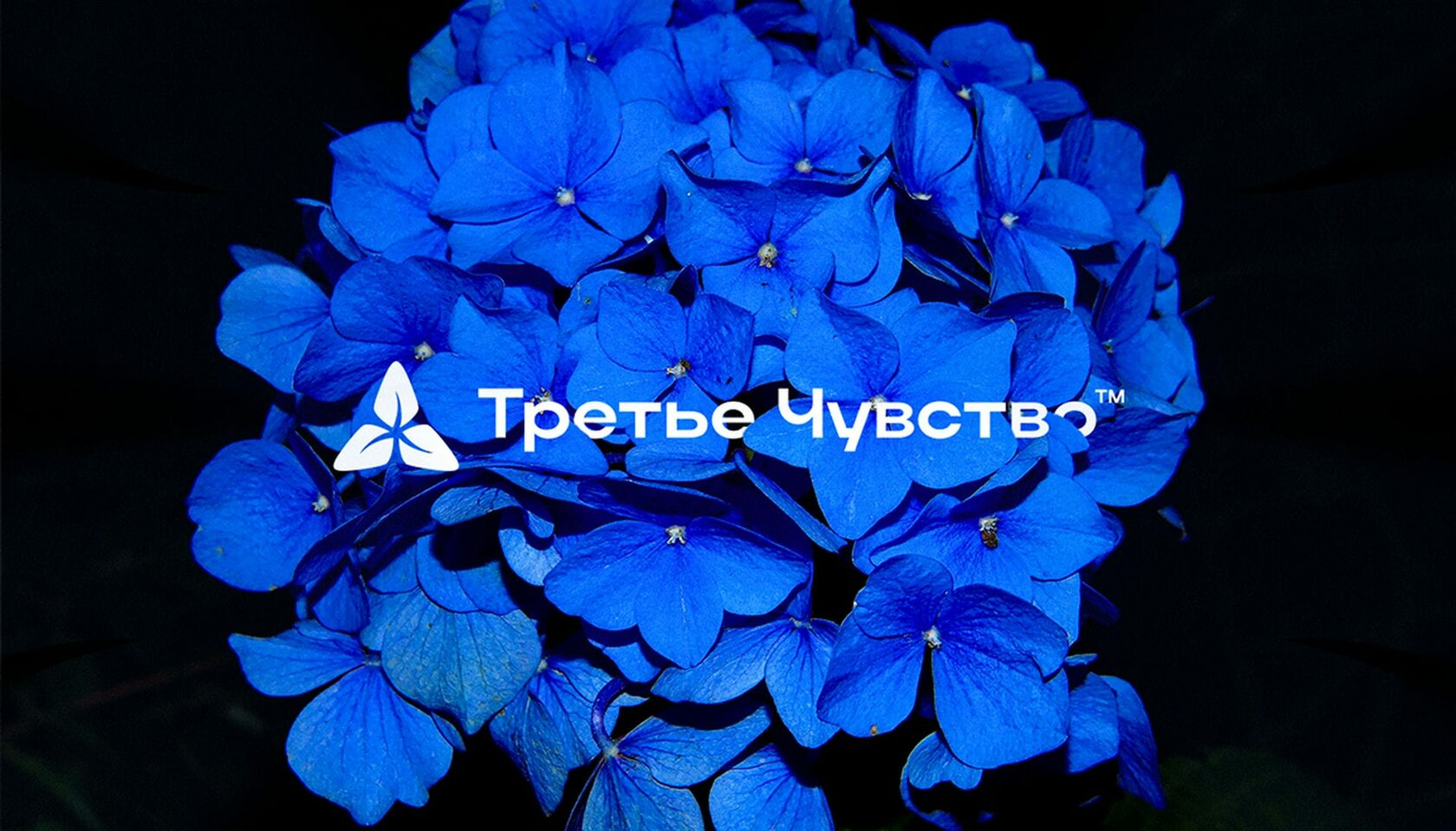 Аромамаркетинг для автосалонов - Третье Чувство