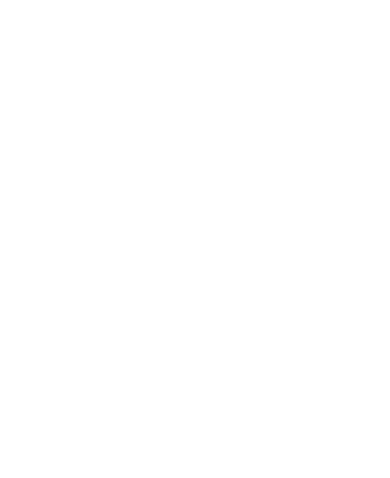 VETER GROUP