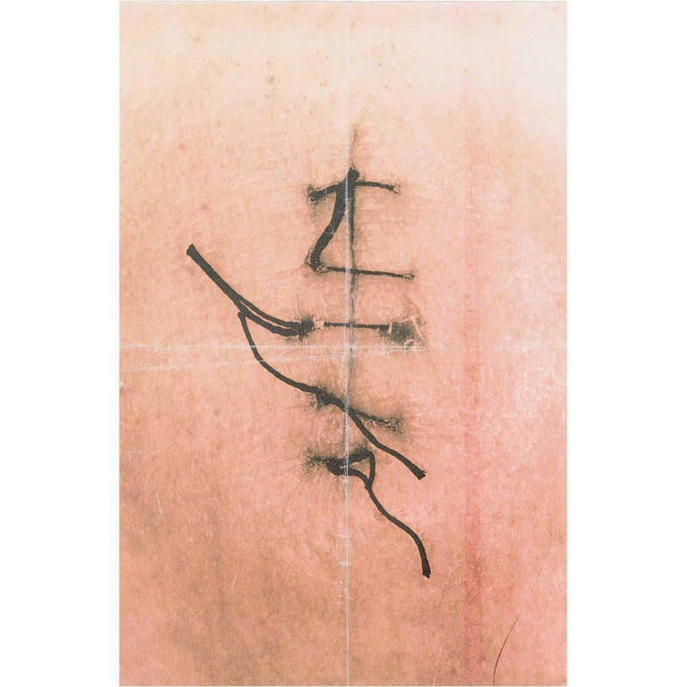 Как Александр Маккуин работал с методом шока