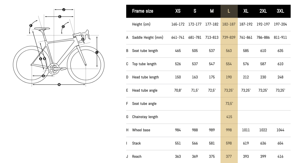 Canyon Endurace AL 6.0