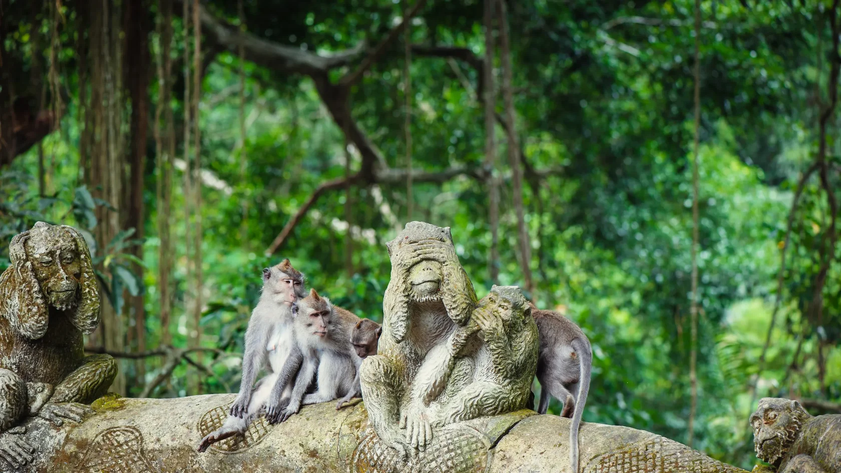 Playful long-tailed macaques resting on ancient carved stone statues deep within the lush, green jungle of the Sacred Monkey Forest Sanctuary in Ubud.