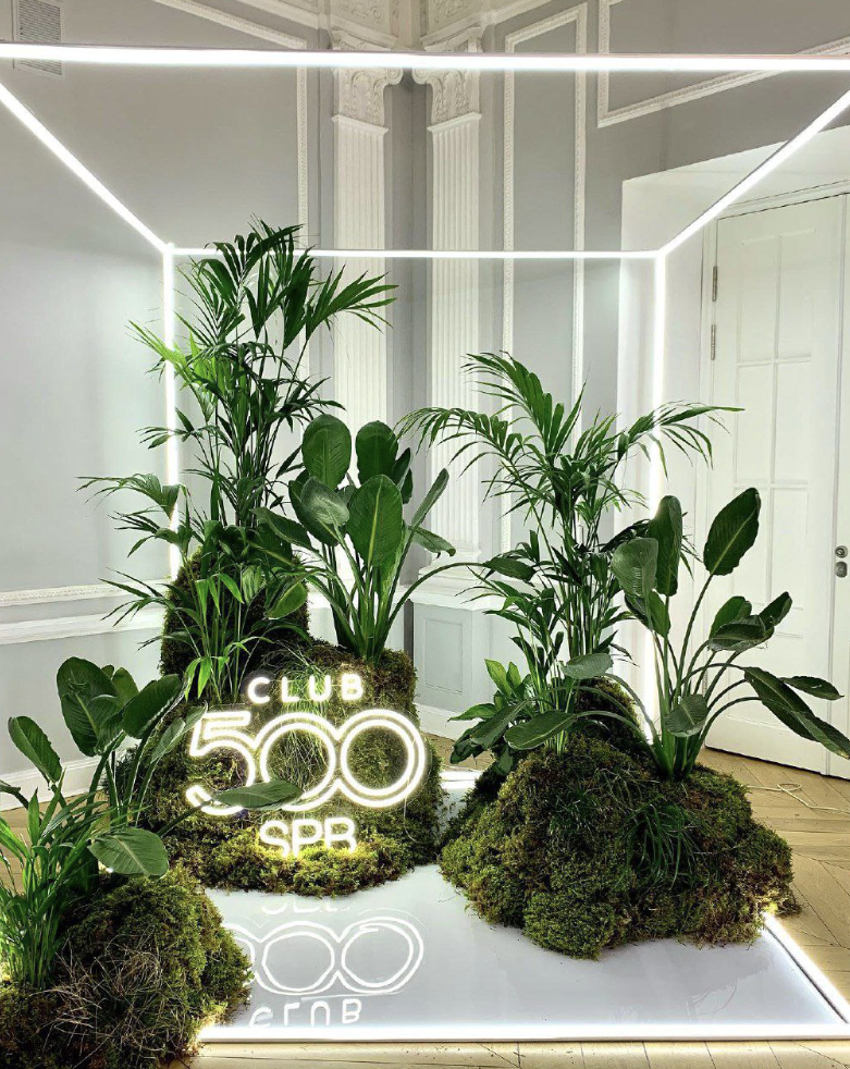Club 500 озеленение