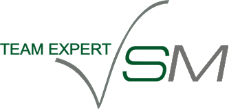 Team expert. Team expert