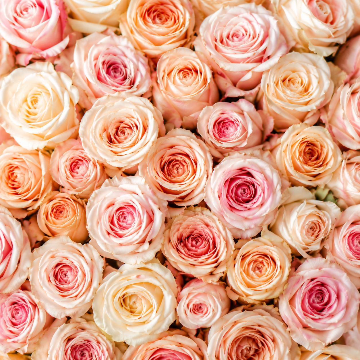 Флористика MosLaFleur