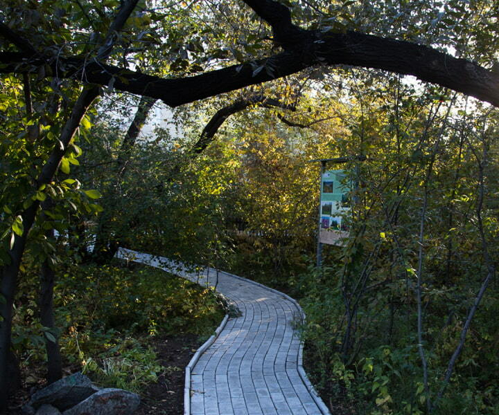 Дорожка в саду при Краеведческом музее
