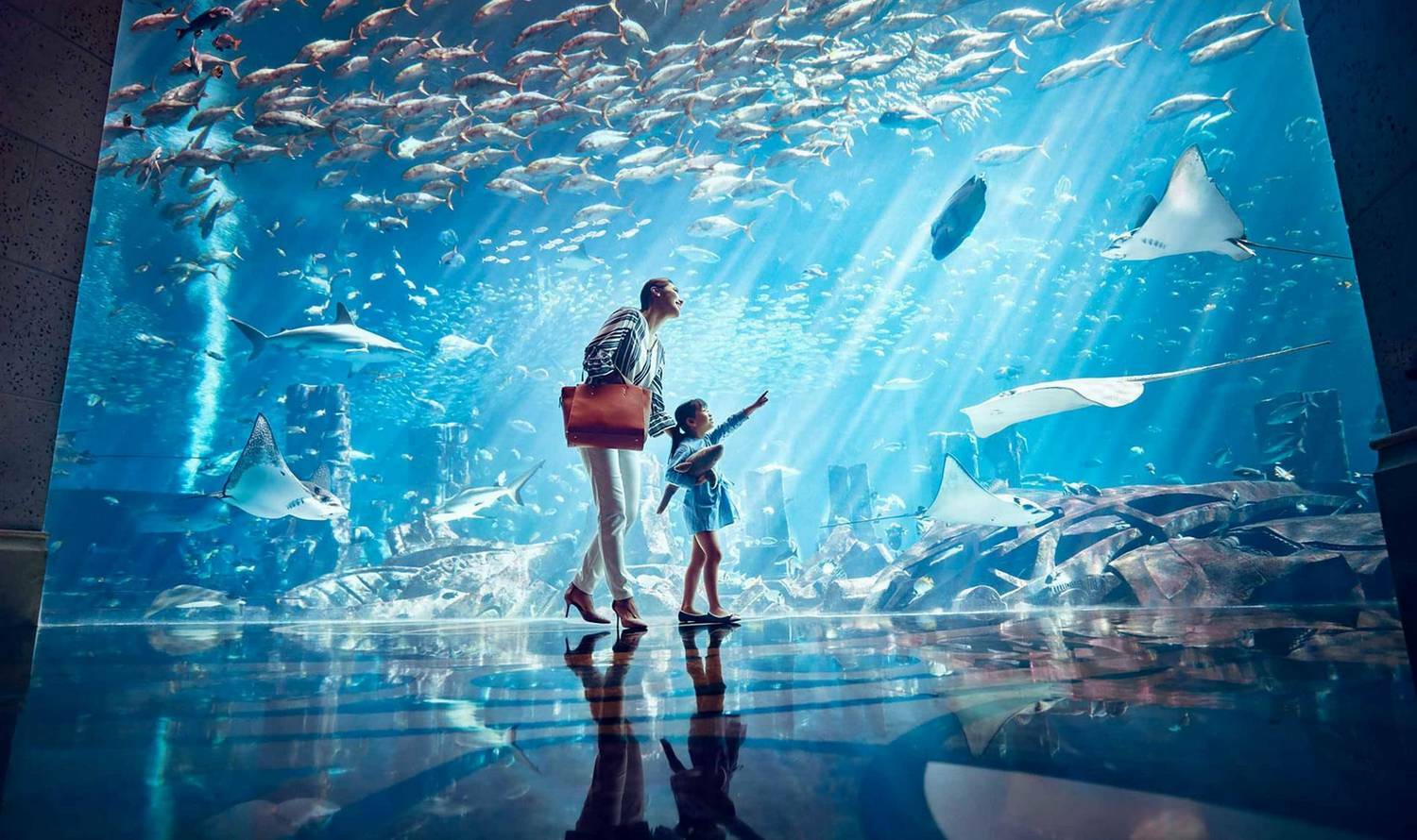 ОАЭ Аквариум Dubai Aquarium and Underwater Zoo