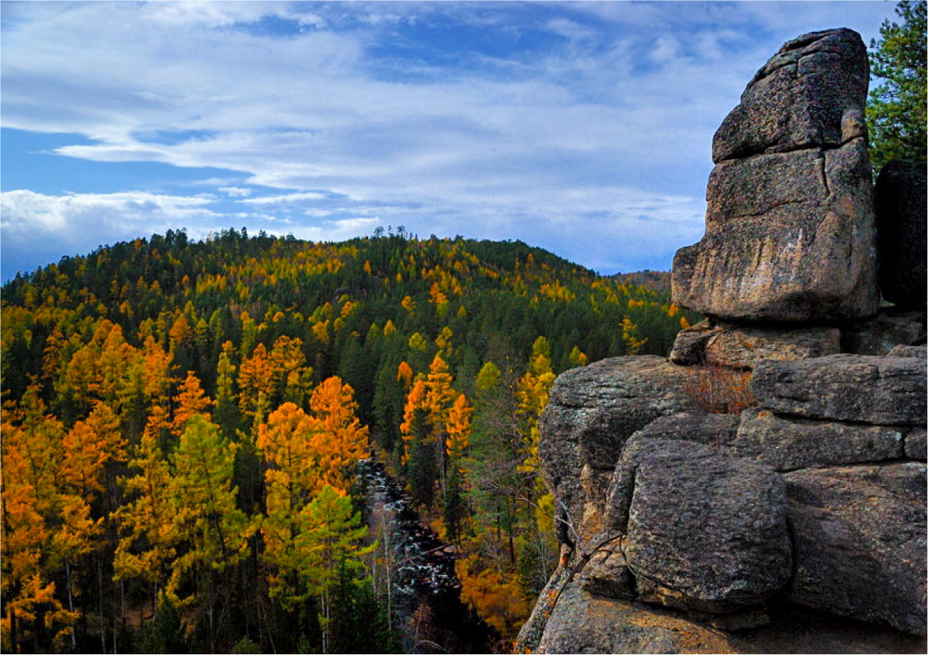 Скальник Витязь Иркутск Фото