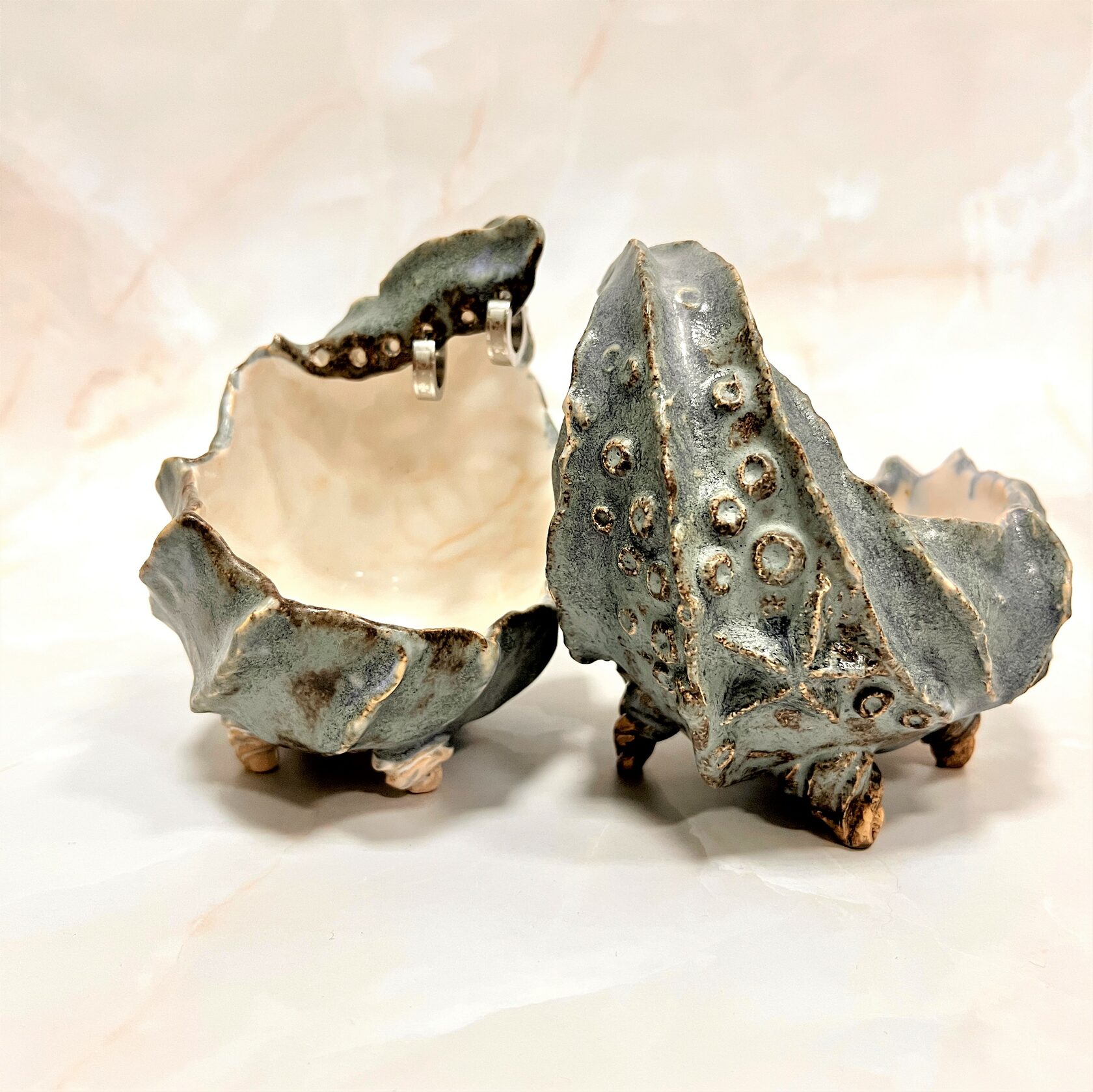 керамическая морская раковина Cetus ceramics
