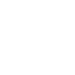 Портретная экспертиза