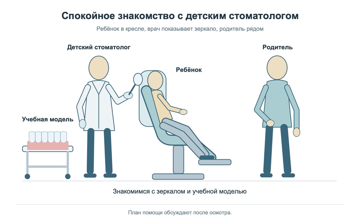 Детский стоматолог знакомит ребёнка с зеркалом и учебной моделью