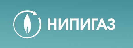 Нипигаз. НИПИГАЗ логотип. АО «НИПИГАЗПЕРЕРАБОТКА». НИПИГАЗ брендбук.