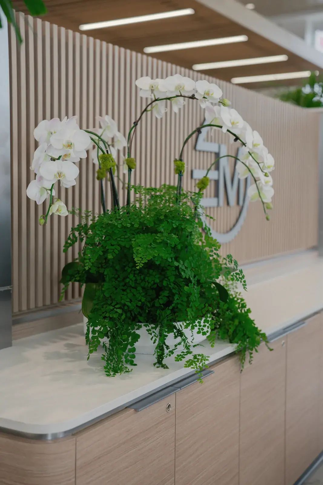 White orchids and maidenhair fern on the reception counter, Toyota of West Covina