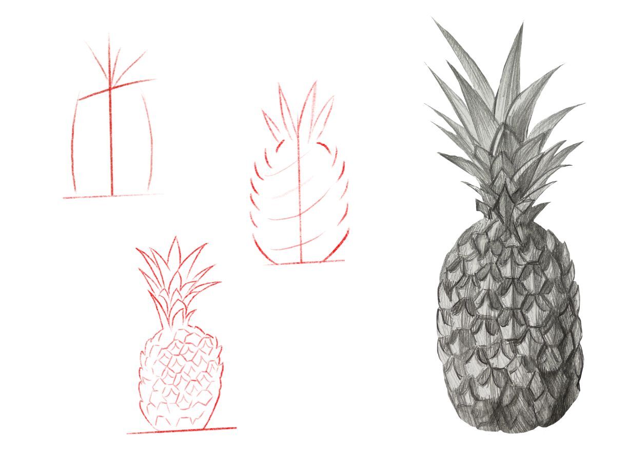 how to draw a pineapple