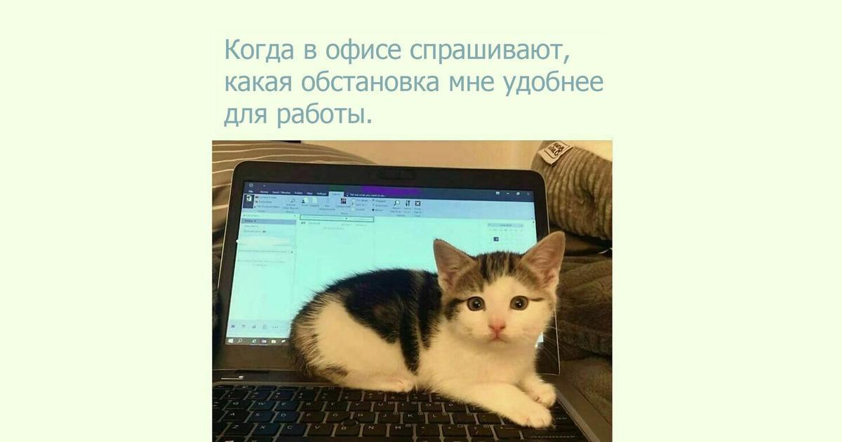 Где SMM и контент-менеджеру искать работу в Telegram: вакансии, каналы и 30 вопросов работодателю