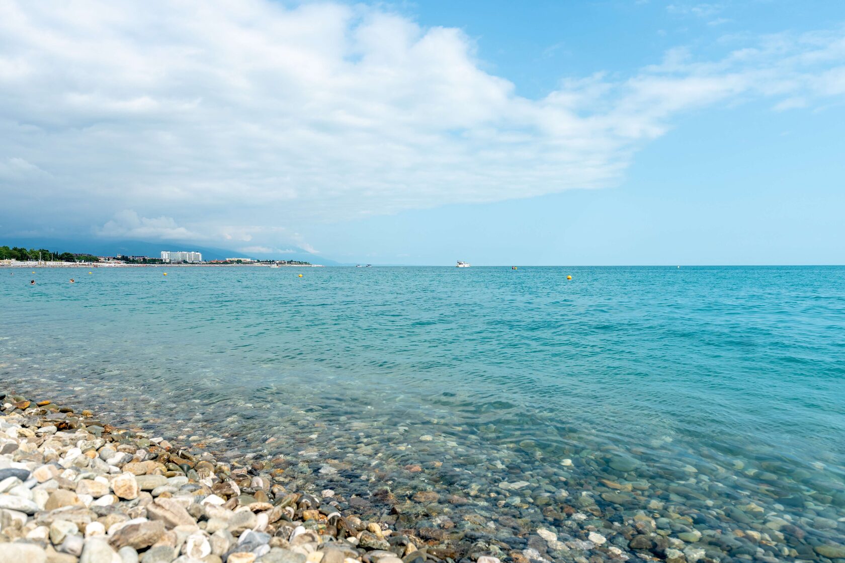 Зимний Сочи — набережная и пальмы в январе