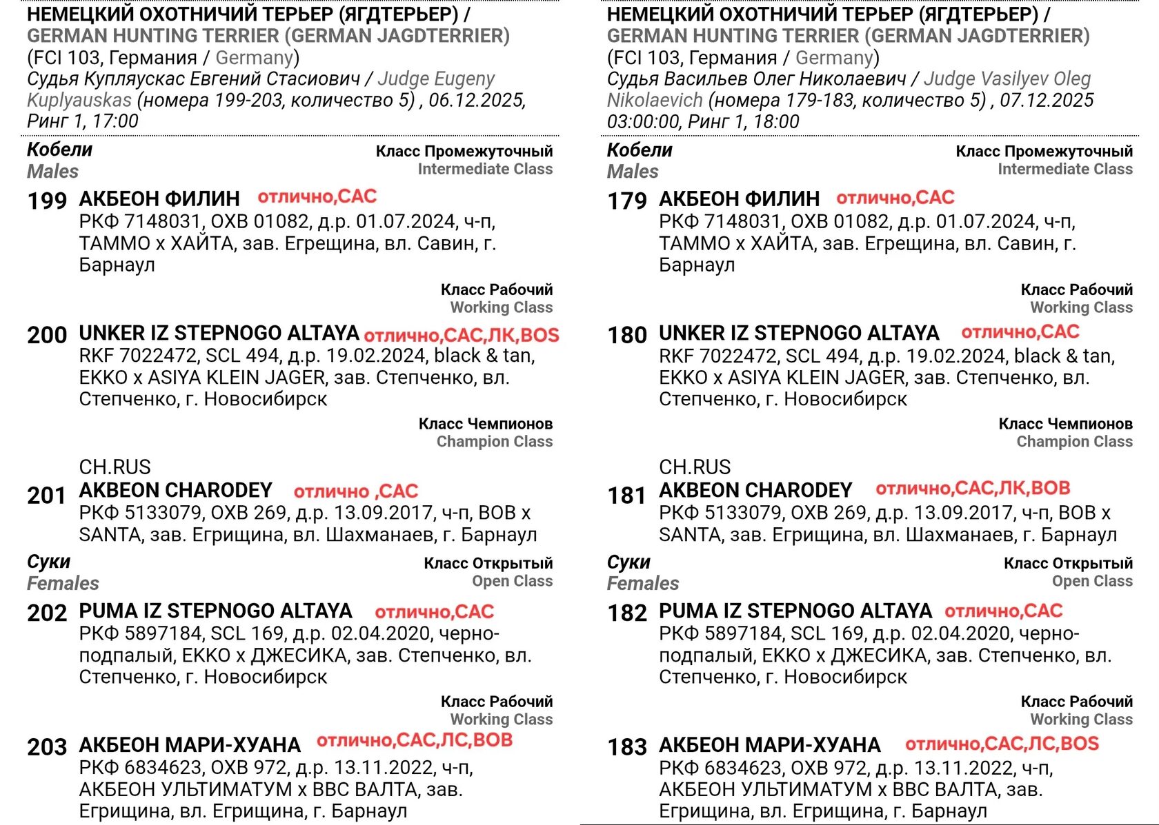 Таблицы результатов двух дней выставок «Кубок Сибири-2025»