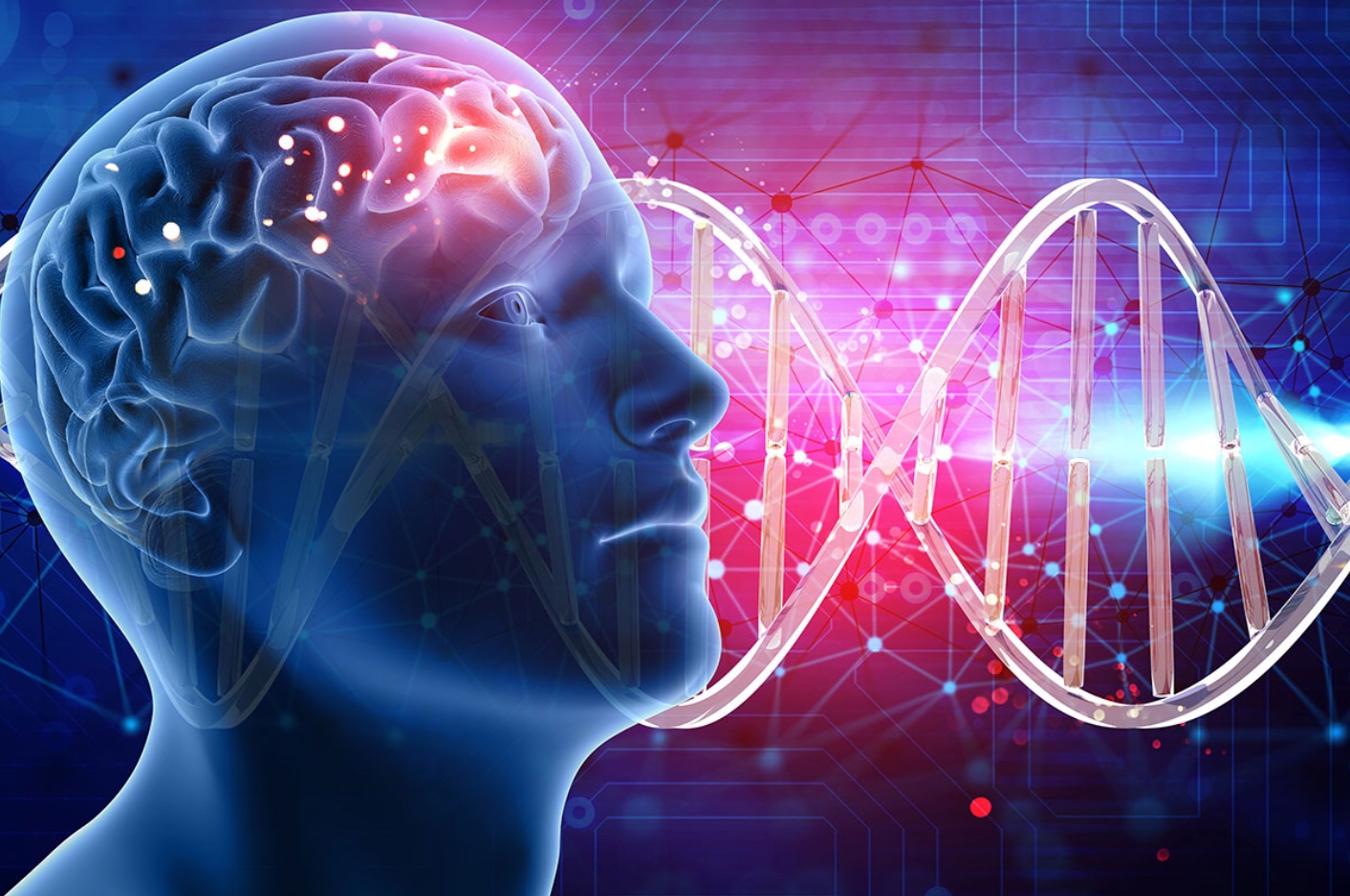 Интеллект генетика. Способности мозга. Сознание человека. Когнитивные способности мозга. Исследования мозга человека.
