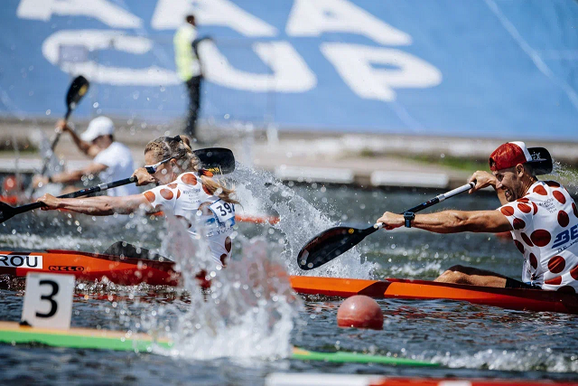 Әлемнің сексуалды есегі