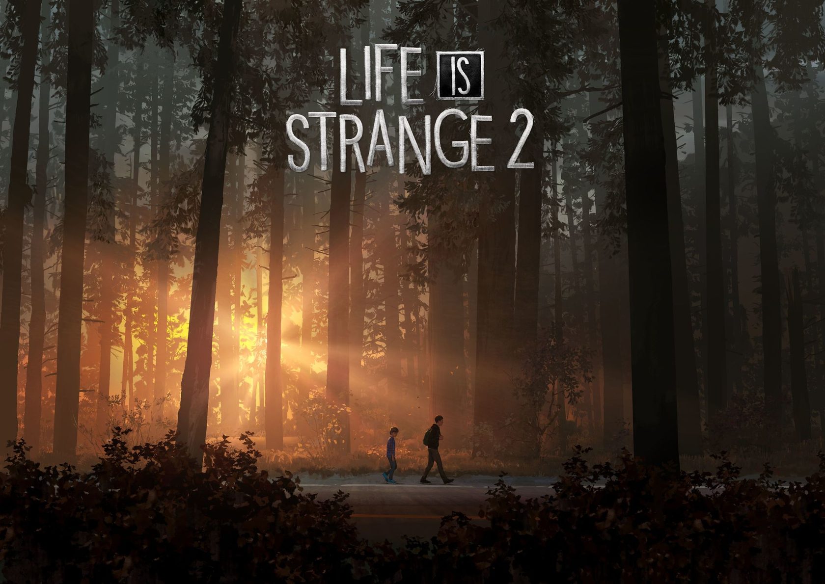 Life is strange жизнь странная штука