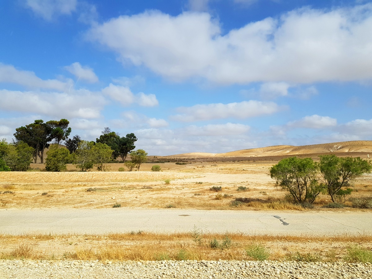 Пустыня Арава, Израиль. Путешествия и отдых Вкусный Израиль.