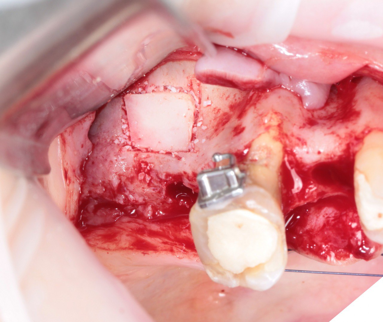 Фото с конференции 