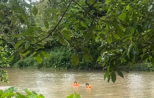 Двое в спасжилетах в реке джунглей