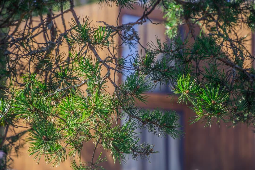 Что интересного в Карелии и Ленинградской области - отели Точка на Карте