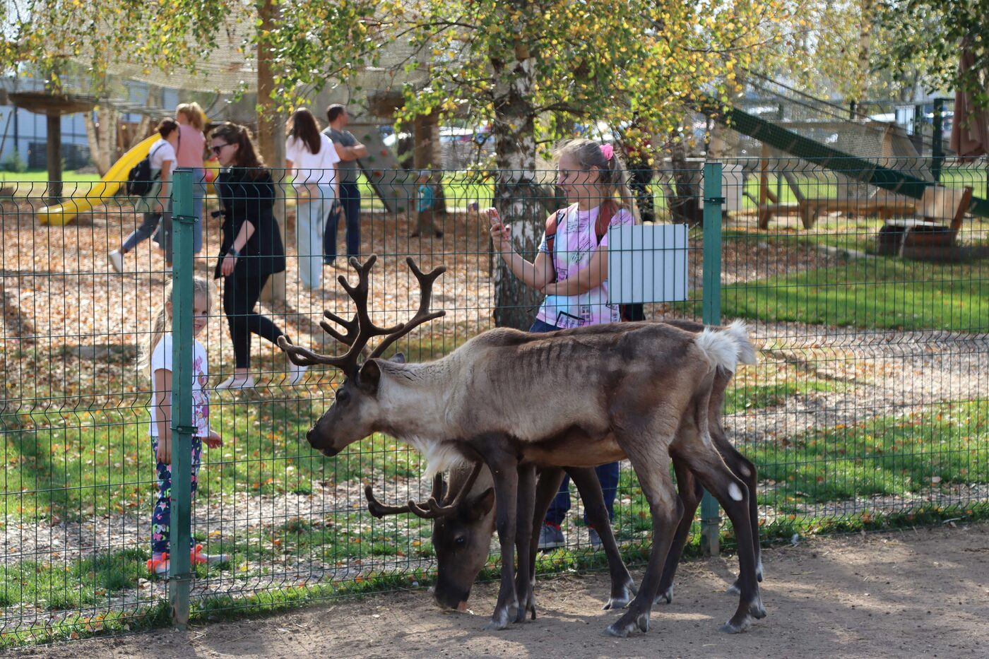 Экскурсия на ферму в Подмосковье