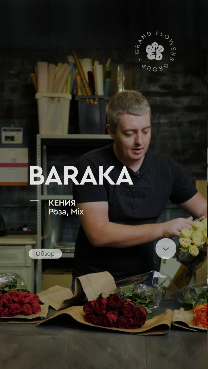 Обзор роза Mix с плантации Baraka - Кения