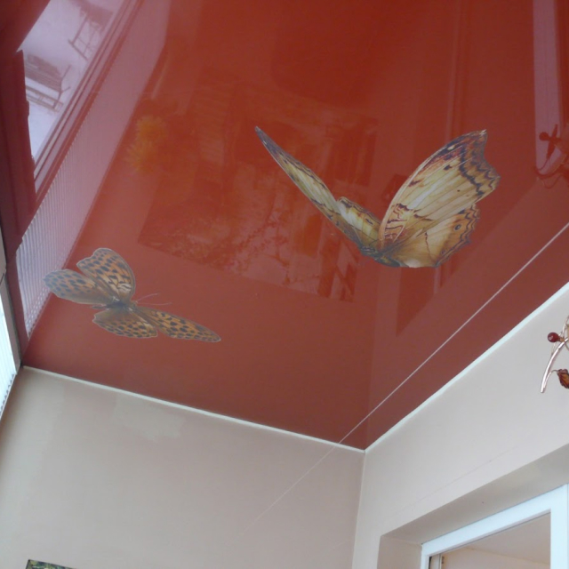 Матовый потолок в гостиной