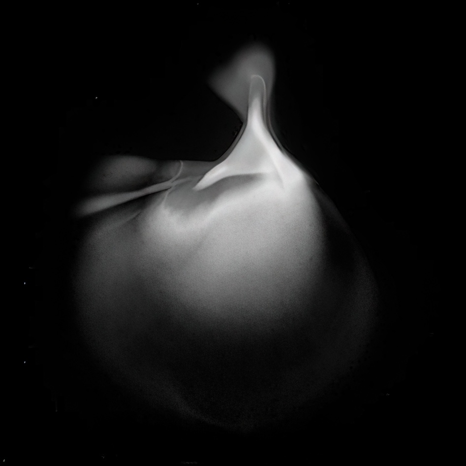 Ольга Савич – Ловушки для солнца.