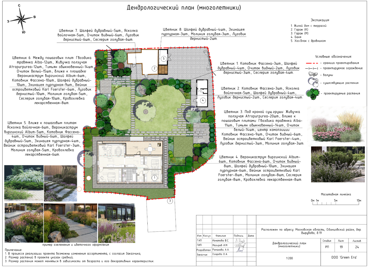 Дендрологический план