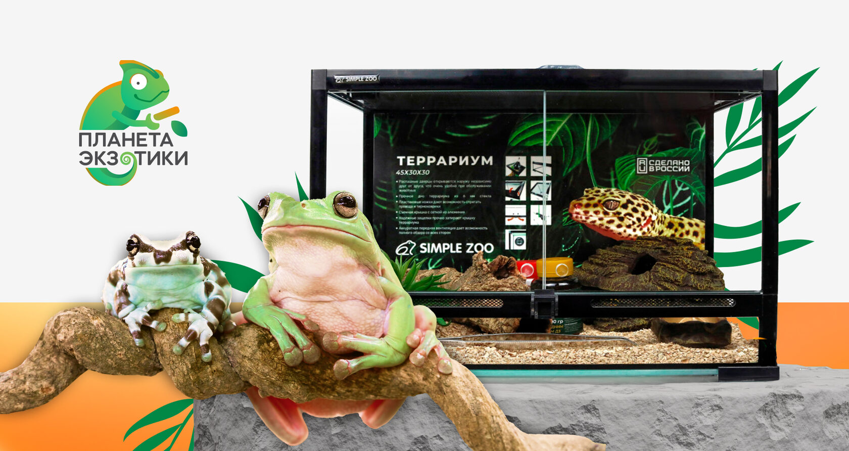 Полный каталог СТАРТОВЫХ НАБОРОВ от "ПЛАНЕТА ЭКЗОТИКИ"