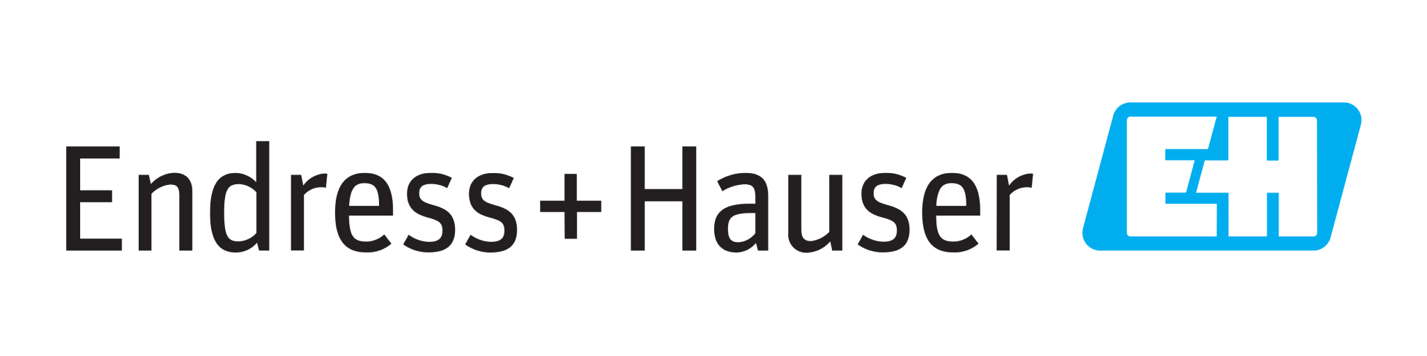 Endress+Hauser