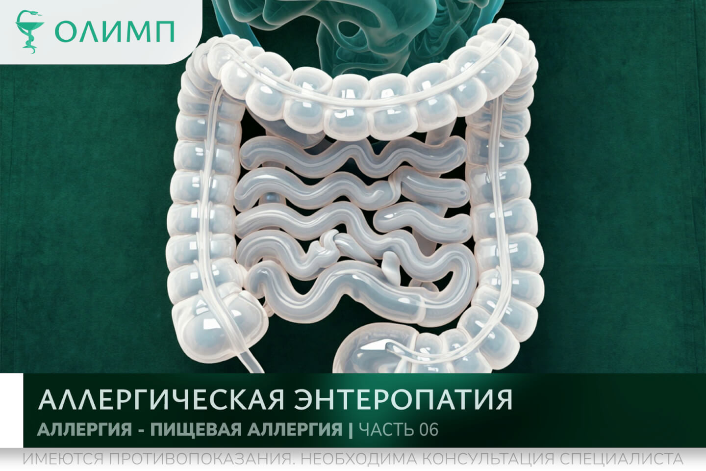 олимп тюмень медицинский центр клиника терапевт медцентр в тюмени олимпийская мельникайте аллергия