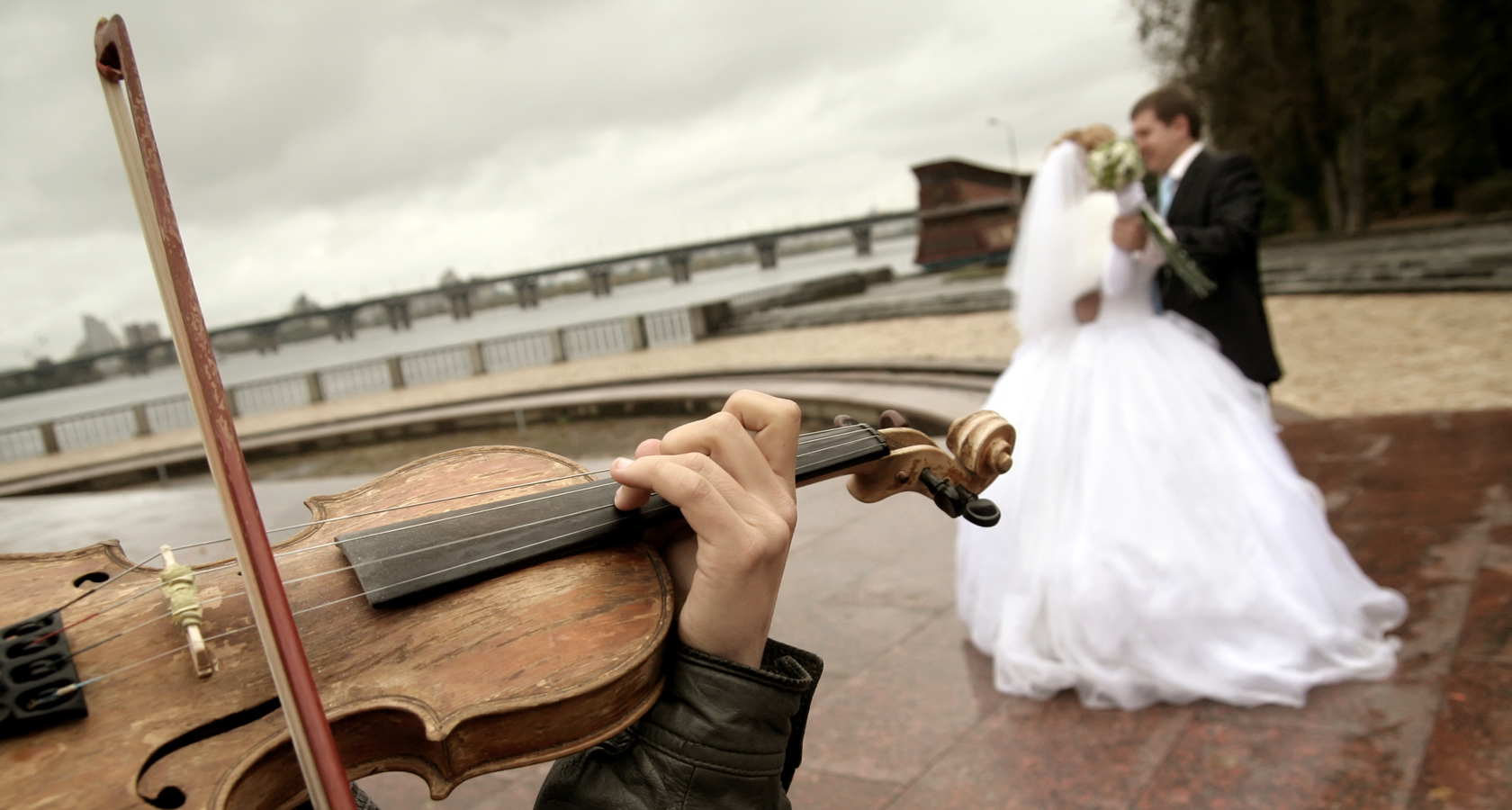 Скрипка на свадьбе