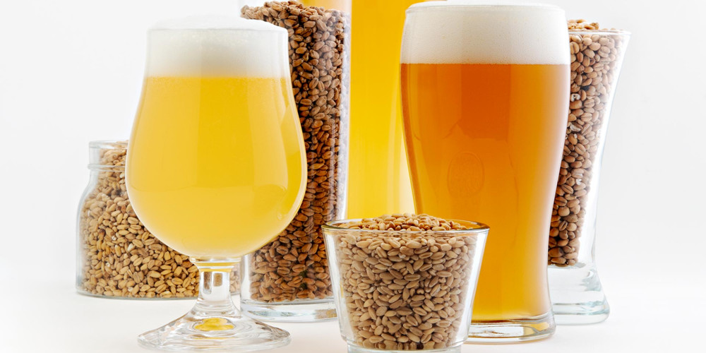 Рецепты зернового пива из солода и хмеля