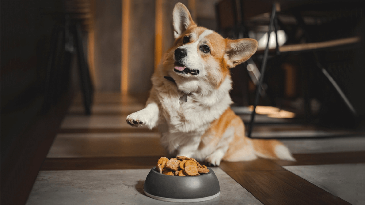 контент для заведения