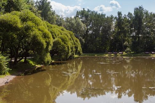 Кафе усадьба в филевском парке фото