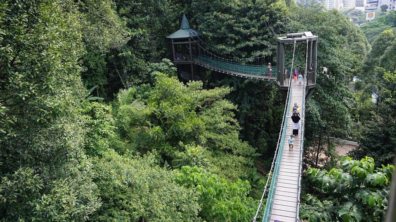 KL Forest Eco Park, Kuala Lumpur: How To Reach, Best Time ...